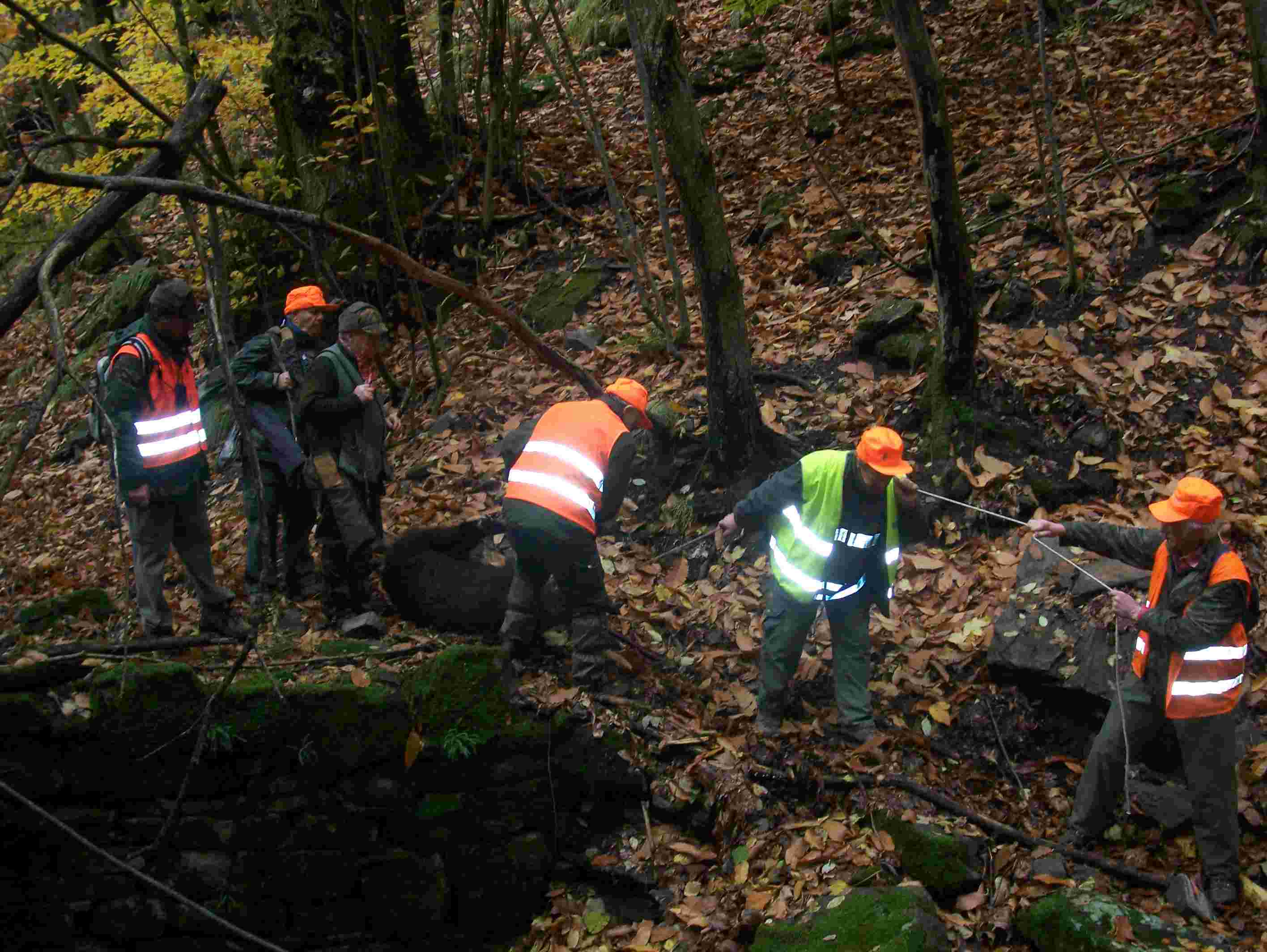  Image name: 30 Caccia.JPG 
 width: 2832 pixel 
 height: 2128 pixel 
 Size: 210946 bytes 
 Click to enlarge 